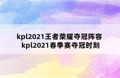 kpl2021王者荣耀夺冠阵容 kpl2021春季赛夺冠时刻